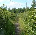 Land For Sale Mixed Development On Salmonier Line Near Holyrood