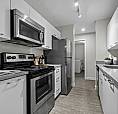 Elan - 3 Bedroom, 1 Bathroom Apartment For Rent
