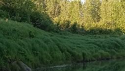 2 Acres Along The Canaan River