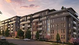  Apartment Assignment | Level Burquitlam | 1 Bed + 1 Bath