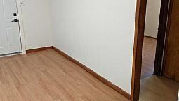 Southside Basement Suite For Rent