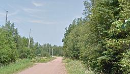 Land In Coleman For Sale