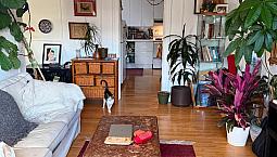 Appartement 3 Chambres - Outremont