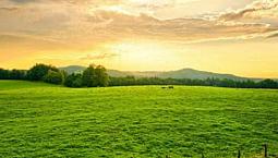 Land For Sale - Niagara Falls