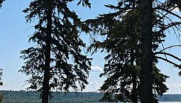 Lake Lot At Fork Lake, Ab 3.5 Acres