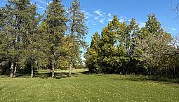 Lake Front Cabin For Sale Emma Lake