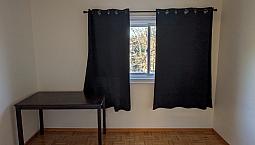 Single Room For Rent