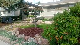 Reno Bungalow West Of Southgate