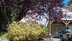 Studio Housekeeping Suite In Lower Gibsons