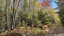 1/4 Acre Near Kejimkujik National Park