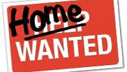 Look For A Home For My Family