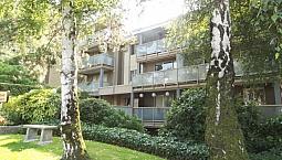 Your Ideal Condo