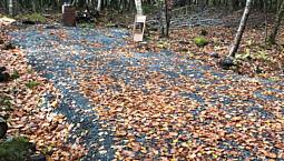 Lot Rent For Camper Or Tiny Home.