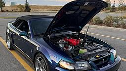2004 Ford Mustang Cobra