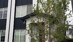Modern 3+Bd 2 Car Garage Flexible Lease Options Available Sept 1