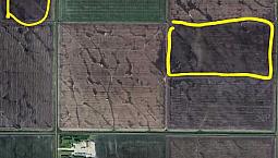 Farm Land For Sale