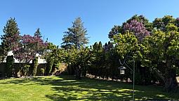 Looking For An Investment Home In Kelowna?