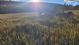 162 Acre Farm Property In Unorganized Township