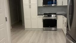 Beautiful 1 Bedroom Basment Suite - Available Asap