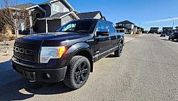 2011 Ford F150