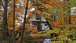 A True Creative Artist’s Retreat 25 Mins From Ottawa