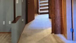 Basement Suite Marlborough!
