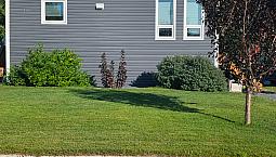 Home For Sale