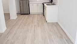 Finch And Bayview 2 Bedroom Basement