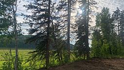 Paradise River Lots