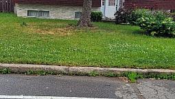 House For Rent