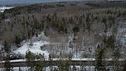 9 Acre Private Building Lot In Heart Of Annapolis Valley