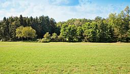 Wanted: Vacant Land Any Acreage Within 15 Minute Drive Of City