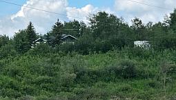 Cabin For Sale