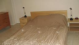Bright Furnished 1 Bedroom Basement Apartment Available Sept 1