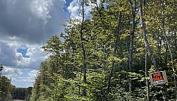 Sutherlands Lake Cottage Lot