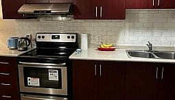 1 Bed + 1 Bath Basement (brampton)