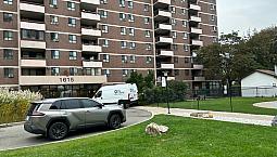 2 Bedroom 1.5 Bath Apartment For Rent - $1900/month