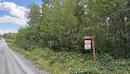 9.5 (10) Acres In Rusagonis / Lincoln 