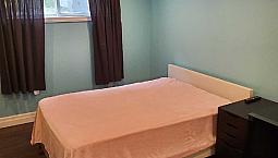 Studio Basement For Rent
