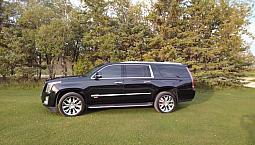 2016 Cadillac Escalade Esv Platinum