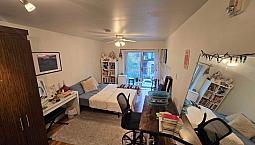 Lease Transfer For Semi-furnished Studio Near Mcgill Nov 1