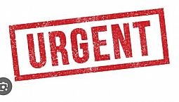 Urgent Looking For A Studio Or 1bdr Apartment 
