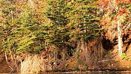  Three Acre Waterfront Lot -51 Lyndsay Lane,  Kingsclear 