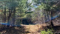 Gorgeous Wooded 2.12 Acre Lot!!