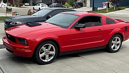 Red Mustang 2008