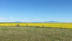 20acre Hobby Farm! Privacy And Seclusion! 5bd, 3 Bath, 2884sq Ft