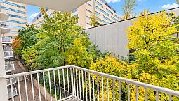 Big, Bight Quiet 1 Br With Balcony And Rooftop Pool Access