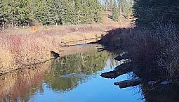 Dream Land 23 Minutes From Town