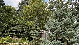 House For Sale In Kenora, Ontario