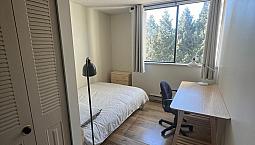 $1150 Furnished 1Br In A 2Br Condo For Rent In Burnaby/Coquitlam
